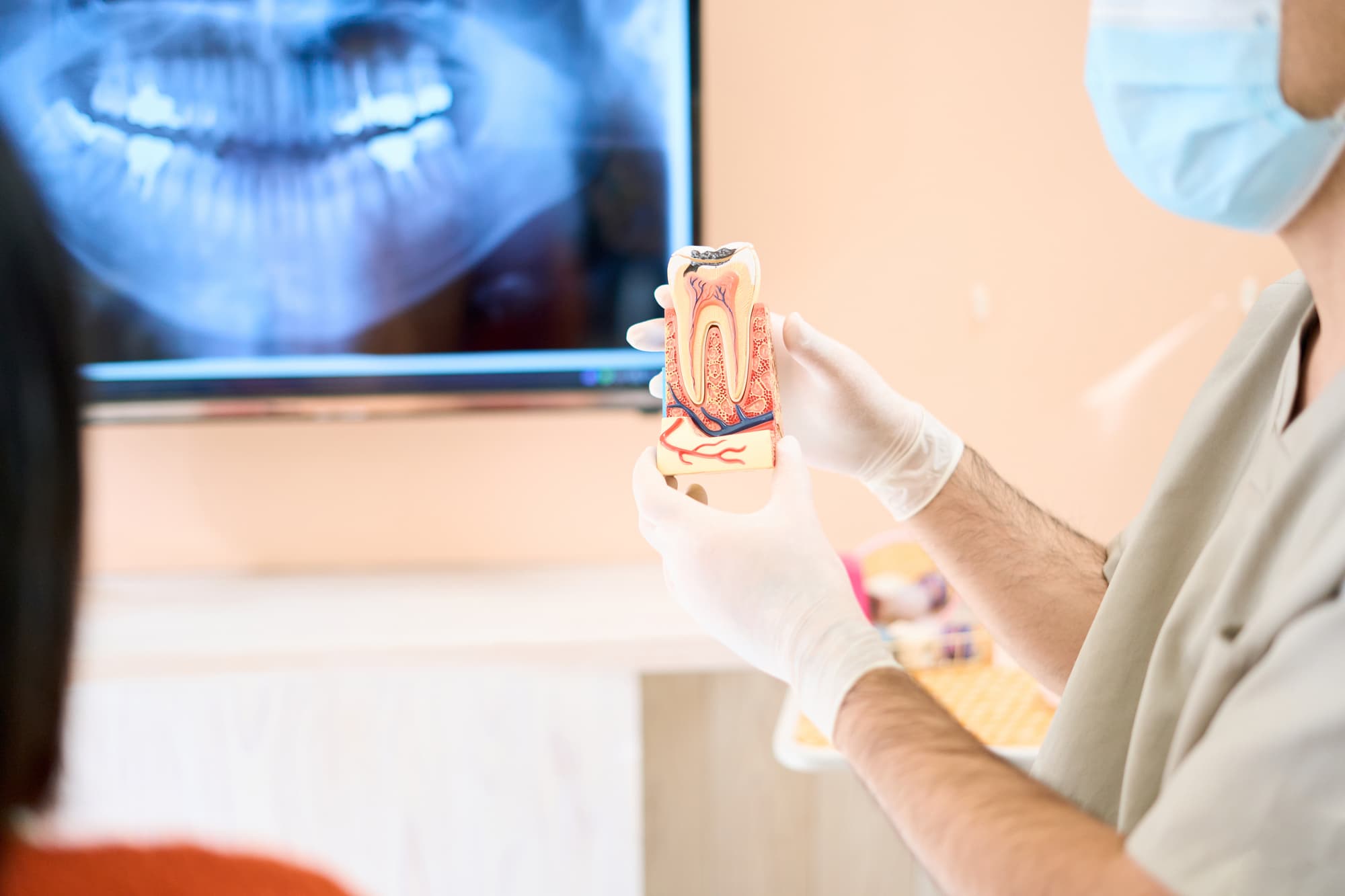 根管治療についてレントゲンと模型を使って患者に説明する歯科医